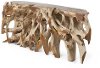 Natural Root Console Table - Montana