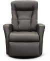 Coffee Leather Standard Swivel Glider Power Recliner - Grove