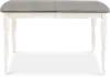 Newark White and Gray Dining Room Table