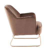 CHR-DANIELLASL-AUBN Espresso Velvet Contemporary Accent Chair - Campania-2