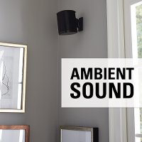 WSWM21 Sanus Wireless Speaker Wall Mount for Sonos One Speaker-3