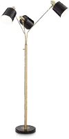 Antique Brass Plated and Black Floor Lamp - New York Studio