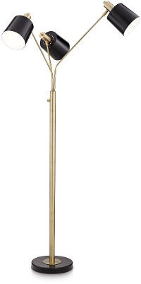Antique Brass Plated and Black Floor Lamp - New York Studio
