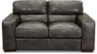 Contemporary Charcoal Gray Leather Loveseat - Sundance