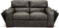 Contemporary Charcoal Gray Leather Loveseat - Sundance-2