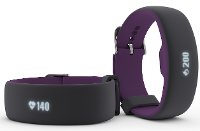 IFAXJL215 iFit Axis Heart Rate Wristband Large/X-Large-2