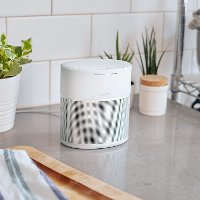808429-1300 Bose Home Speaker 300 - Luxe Silver-5