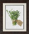 A Bunch of Thyme Framed Wall Art