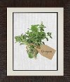 A Bunch of Oregano Framed Wall Art