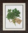 Clearance A Bunch of Parsley Framed Wall Art