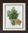 A Bunch of Rosemary Framed Wall Art