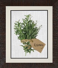A Bunch of Rosemary Framed Wall Art