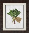 Clearance A Bunch of Sage Framed Wall Art
