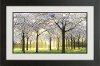 Bridal Trees Framed Wall Art