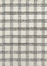 8 x 10 Large Ivory and Black Shag Rug - Maya