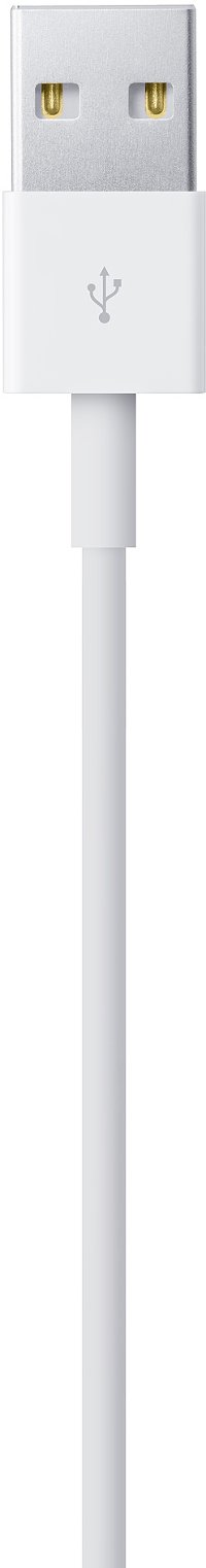 MD819AM/A Apple Lightning to USB 2.0 Cable (2m)-3