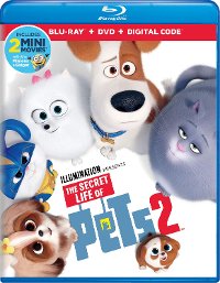 Secret Life of Pets 2 (Blu-Ray + DVD + Digital Code)