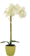 Faux White Orchid Arrangement in a Flower Pot