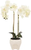Faux White Double Orchid Flower Arrangement in Footed Pot