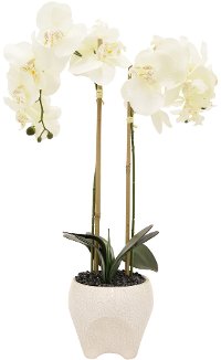 Faux White Double Orchid Flower Arrangement in Footed Pot