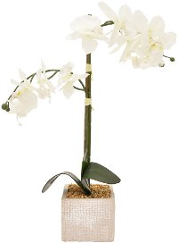 Faux White Orchid Arrangement in Square Pot