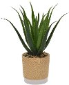 Faux Cactus in Wood Tone Pot