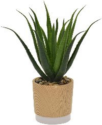 Faux Cactus in Wood Tone Pot