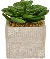 6 Inch Faux Green Succulent Arrangement in Square Pot