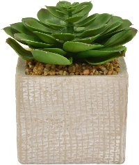 6 Inch Faux Green Succulent Arrangement in Square Pot