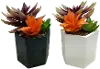 Assorted Faux Orange Succulent Arrangement in Pot