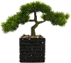 Faux Bonsai Tree Arrangement in a Black Pot
