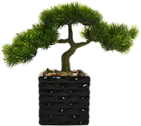 Faux Bonsai Tree Arrangement in a Black Pot