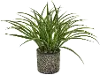 Clearance Faux Green Grass Arrangement In Black Textured Pot