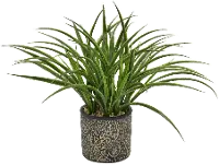 Faux Green Grass Arrangement In Black Textured Pot