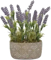 12 Inch Faux Lavender Arrangement in Cement Oval Pot