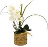 18 Inch Faux White Orchid Arrangement in Round Rope Pot