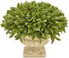 9 Inch Faux Green Topiary Grass Arrangement in Footed Urn