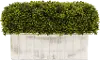 Clearance Faux Boxwood Plant Arrangement in Distressed Wooden Box
