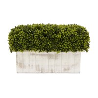 Faux Boxwood Plant Arrangement in Distressed Wooden Box