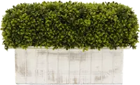 Faux Boxwood Plant Arrangement in Distressed Wooden Box