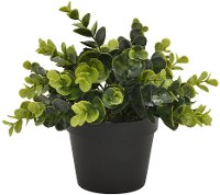 8 Inch Two Tone Artificial Boxwood Greenery in a Flower Pot