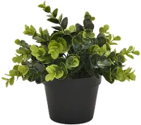 8 Inch Two Tone Artificial Boxwood Greenery in a Flower Pot