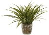 11 Inch Faux Green Grass Arrangement in Round Glass Pot