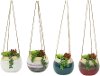 Clearance Assorted Faux Succulent Arrangement in Hanging Pot