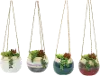 Clearance Assorted Faux Succulent Arrangement in Hanging Pot