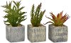 Assorted Faux Succulent Arrangements in Square Pot