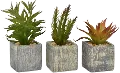 Assorted Faux Succulent Arrangements in Square Pot