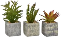 Assorted Faux Succulent Arrangements in Square Pot