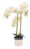 Faux White Orchid Arrangement in White and Gray Pot
