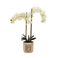 24 Inch White Faux Orchid Arrangement in Wood Pot